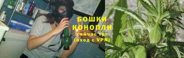 ECSTASY Лиски