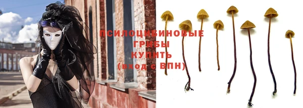 ECSTASY Лиски