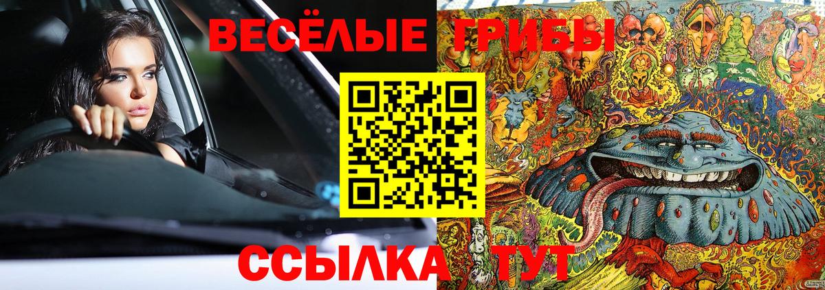 Псилоцибиновые грибы Psilocybine cubensis Сухой Лог
