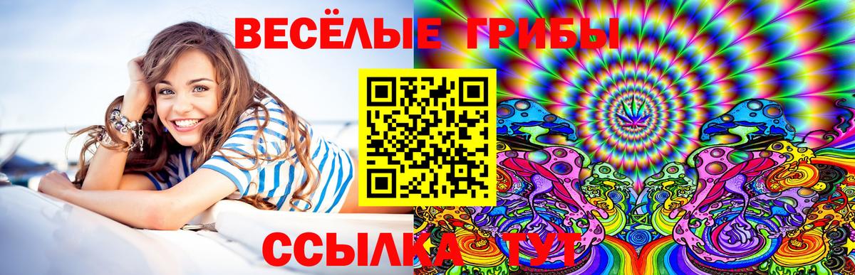 Галлюциногенные грибы Cubensis  Вход с VPN  Псилоцибиновые грибы ЛСД  закладка  Сухой Лог 